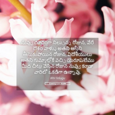 Picture 05 - ఓబద్యా 1:11 TELIRV - నువ్వు దూరంగా - Bible Verse Picture