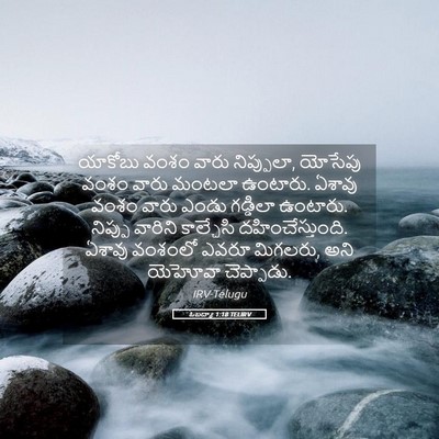 Picture 05 - ఓబద్యా 1:18 TELIRV - యాకోబు వంశం వారు - Bible Verse Picture