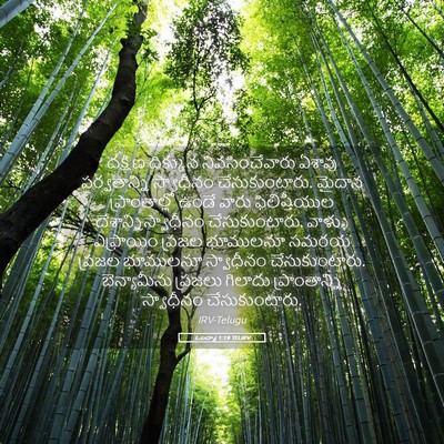 Picture 05 - ఓబద్యా 1:19 TELIRV - దక్షిణ దిక్కున - Bible Verse Picture