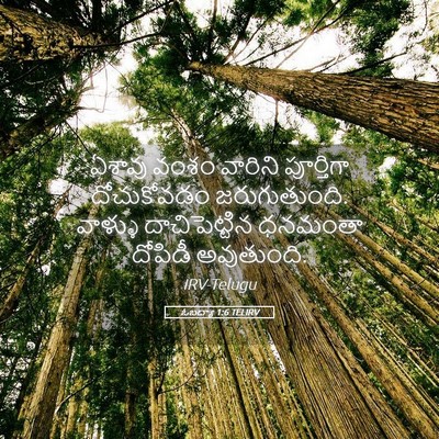 Picture 05 - ఓబద్యా 1:6 TELIRV - ఏశావు వంశం వారిని - Bible Verse Picture