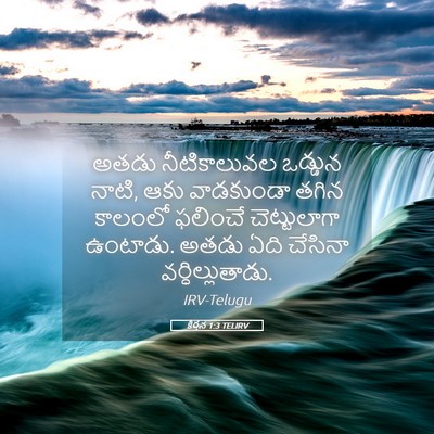Picture 05 - కీర్తన 1:3 TELIRV - అతడు నీటికాలువల - Bible Verse Picture
