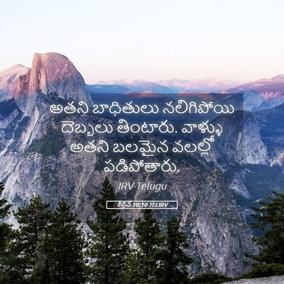 Picture 05 - కీర్తన 10:10 TELIRV - అతని బాధితులు - Bible Verse Picture