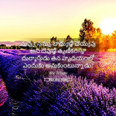 Picture 05 - కీర్తన 10:13 TELIRV - నువ్వు నన్ను - Bible Verse Picture