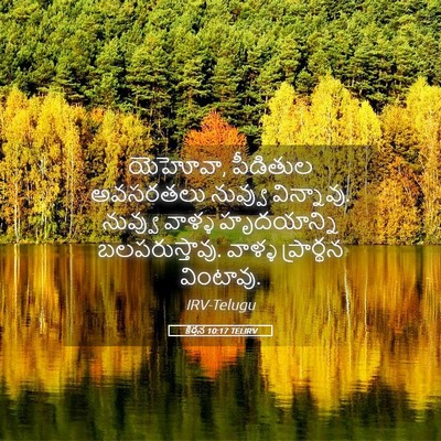 Picture 05 - కీర్తన 10:17 TELIRV - యెహోవా, పీడితుల - Bible Verse Picture