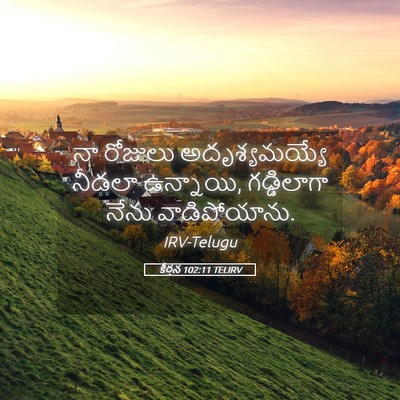Picture 05 - కీర్తన 102:11 TELIRV - నా రోజులు - Bible Verse Picture