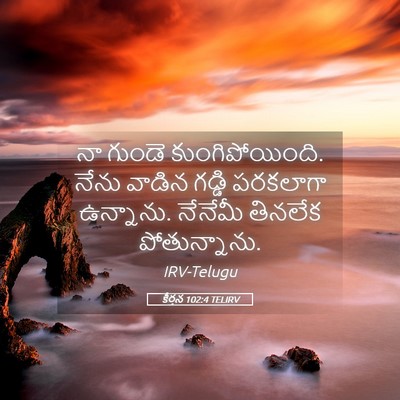 Picture 05 - కీర్తన 102:4 TELIRV - నా గుండె - Bible Verse Picture