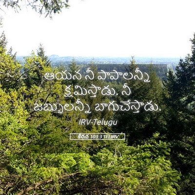 Picture 05 - కీర్తన 103:3 TELIRV - ఆయన నీ పాపాలన్నీ - Bible Verse Picture