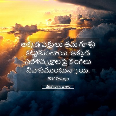Picture 05 - కీర్తన 104:17 TELIRV - అక్కడ పక్షులు తమ - Bible Verse Picture