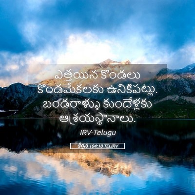 Picture 05 - కీర్తన 104:18 TELIRV - ఎత్తయిన కొండలు - Bible Verse Picture