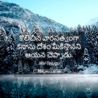 Picture 05 - కీర్తన 105:11 TELIRV - కొలిచిన - Bible Verse Picture