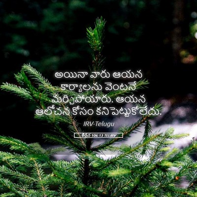 Picture 05 - కీర్తన 106:13 TELIRV - అయినా వారు ఆయన - Bible Verse Picture