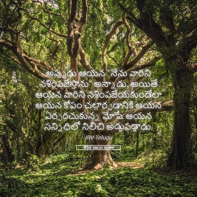 Picture 05 - కీర్తన 106:23 TELIRV - అప్పుడు ఆయన “నేను - Bible Verse Picture