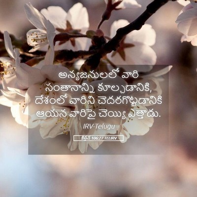 Picture 05 - కీర్తన 106:27 TELIRV - అన్యజనులలో వారి - Bible Verse Picture