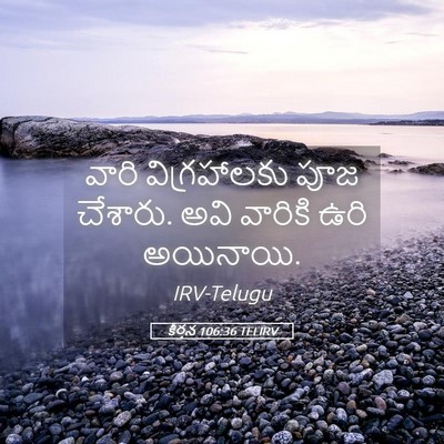 Picture 05 - కీర్తన 106:36 TELIRV - వారి విగ్రహాలకు - Bible Verse Picture