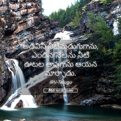 Picture 05 - కీర్తన 107:35 TELIRV - అడివిని - Bible Verse Picture