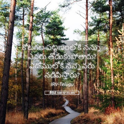 Picture 05 - కీర్తన 108:10 TELIRV - కోటగల పట్టణంలోకి - Bible Verse Picture