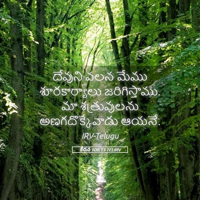 Picture 05 - కీర్తన 108:13 TELIRV - దేవుని వలన మేము - Bible Verse Picture