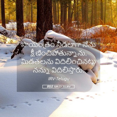 Picture 05 - కీర్తన 109:23 TELIRV - సాయంత్రం నీడలాగా - Bible Verse Picture