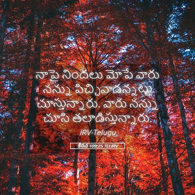 Picture 05 - కీర్తన 109:25 TELIRV - నాపై నిందలు మోపే - Bible Verse Picture