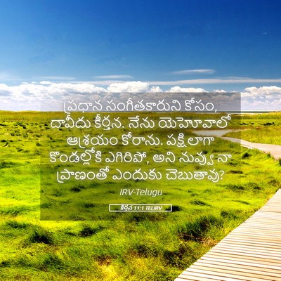 Picture 05 - కీర్తన 11:1 TELIRV - ప్రధాన - Bible Verse Picture