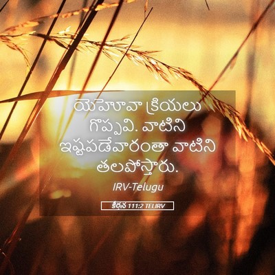 Picture 05 - కీర్తన 111:2 TELIRV - యెహోవా క్రియలు - Bible Verse Picture