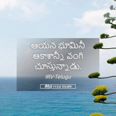 Picture 05 - కీర్తన 113:6 TELIRV - ఆయన భూమినీ - Bible Verse Picture