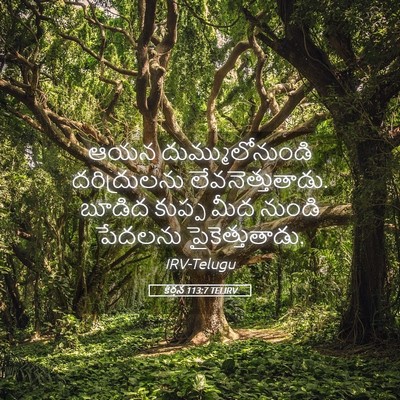 Picture 05 - కీర్తన 113:7 TELIRV - ఆయన దుమ్ములోనుండి - Bible Verse Picture