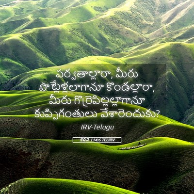 Picture 05 - కీర్తన 114:6 TELIRV - పర్వతాల్లారా, - Bible Verse Picture