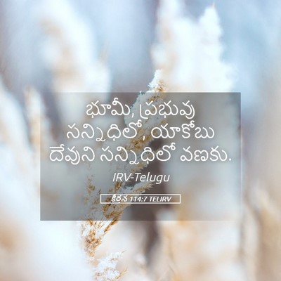 Picture 05 - కీర్తన 114:7 TELIRV - భూమీ, ప్రభువు - Bible Verse Picture