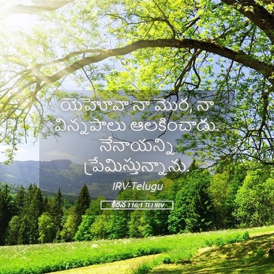 Picture 05 - కీర్తన 116:1 TELIRV - యెహోవా నా మొర, నా - Bible Verse Picture