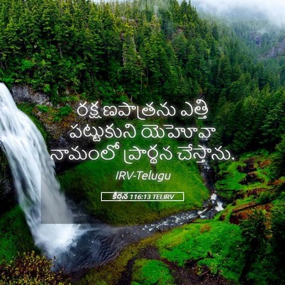 Picture 05 - కీర్తన 116:13 TELIRV - రక్షణపాత్రను - Bible Verse Picture