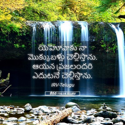 Picture 05 - కీర్తన 116:14 TELIRV - యెహోవాకు నా - Bible Verse Picture