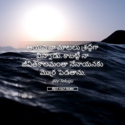 Picture 05 - కీర్తన 116:2 TELIRV - ఆయన నా మాటలు - Bible Verse Picture