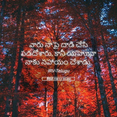 Picture 05 - కీర్తన 118:13 TELIRV - వారు నాపై దాడి - Bible Verse Picture