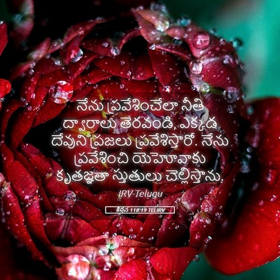Picture 05 - కీర్తన 118:19 TELIRV - నేను ప్రవేశించేలా - Bible Verse Picture