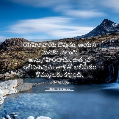 Picture 05 - కీర్తన 118:27 TELIRV - యెహోవాయే దేవుడు. - Bible Verse Picture