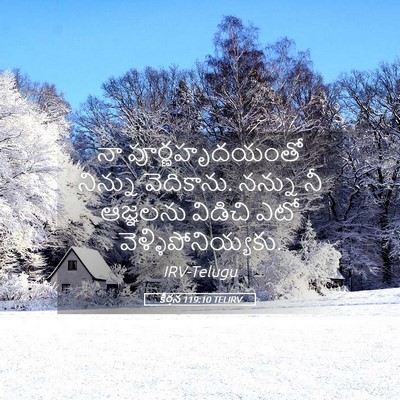 Picture 05 - కీర్తన 119:10 TELIRV - నా పూర్ణహృదయంతో - Bible Verse Picture
