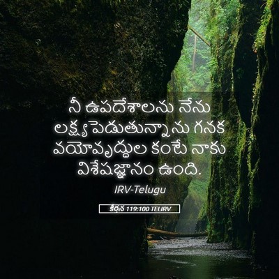 Picture 05 - కీర్తన 119:100 TELIRV - నీ ఉపదేశాలను నేను - Bible Verse Picture