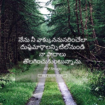 Picture 05 - కీర్తన 119:101 TELIRV - నేను నీ - Bible Verse Picture