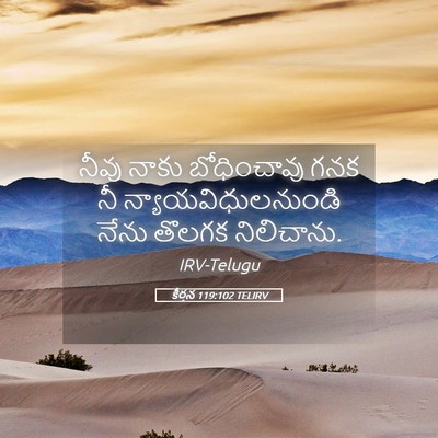 Picture 05 - కీర్తన 119:102 TELIRV - నీవు నాకు - Bible Verse Picture