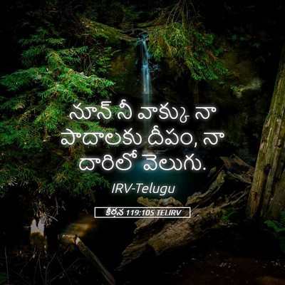 Picture 05 - కీర్తన 119:105 TELIRV - నూన్‌ నీ వాక్కు నా - Bible Verse Picture