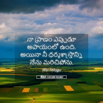 Picture 05 - కీర్తన 119:109 TELIRV - నా ప్రాణం ఎప్పుడూ - Bible Verse Picture