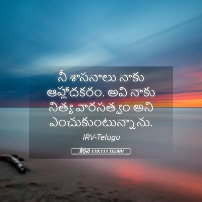Picture 05 - కీర్తన 119:111 TELIRV - నీ శాసనాలు నాకు - Bible Verse Picture