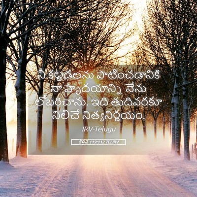 Picture 05 - కీర్తన 119:112 TELIRV - నీ కట్టడలను - Bible Verse Picture