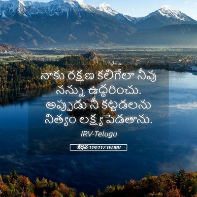 Picture 05 - కీర్తన 119:117 TELIRV - నాకు రక్షణ - Bible Verse Picture