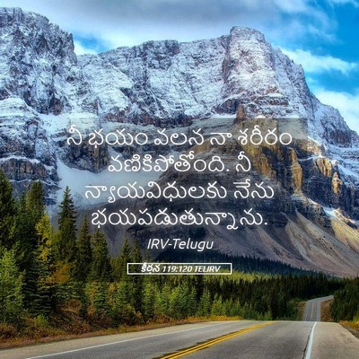 Picture 05 - కీర్తన 119:120 TELIRV - నీ భయం వలన నా శరీరం - Bible Verse Picture