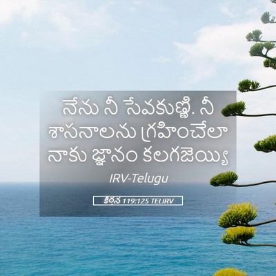 Picture 05 - కీర్తన 119:125 TELIRV - నేను నీ సేవకుణ్ణి. - Bible Verse Picture