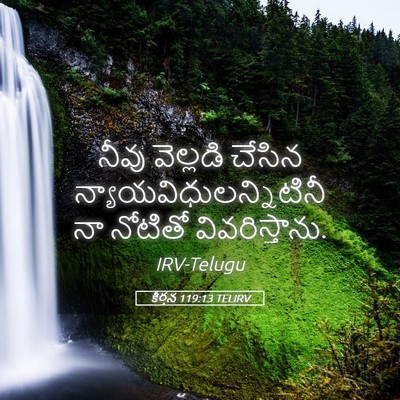 Picture 05 - కీర్తన 119:13 TELIRV - నీవు వెల్లడి - Bible Verse Picture