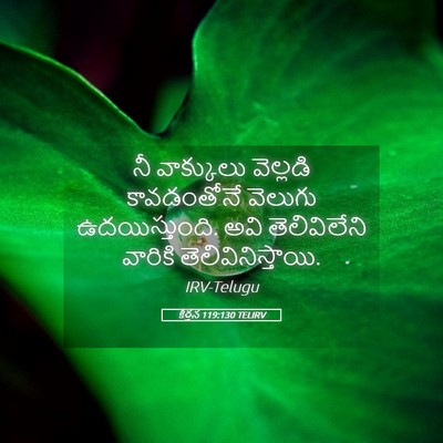 Picture 05 - కీర్తన 119:130 TELIRV - నీ వాక్కులు - Bible Verse Picture