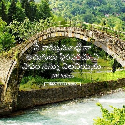 Picture 05 - కీర్తన 119:133 TELIRV - నీ వాక్కునుబట్టి - Bible Verse Picture